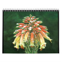 Aloe vera calendars