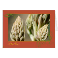 Aloe Vera card