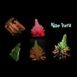 Aloe Vera posters