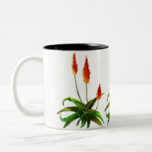 Aloe watercolor mug