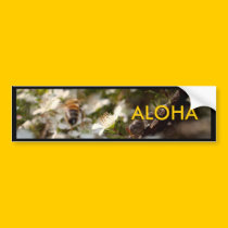 'ALOHA' bumper stickers