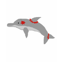 Aloha Dolphin shirt