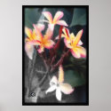 Aloha Floral Poster posters