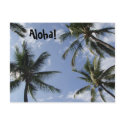 Aloha! From Hawaii postcards by EdRehr Aloha! From Hawaii postcards