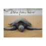 Aloha from Oahu! Postcard with Sea Turtle