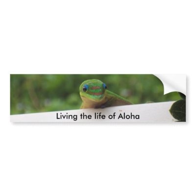 Aloha Gecko stickers Bumper Stickers by Rebecca_Reeder