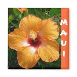 Aloha, Hawaii Hibiscus magnets