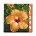 Aloha, Hawaii magnets