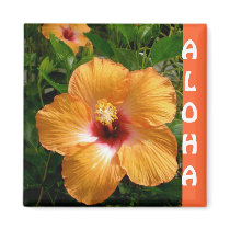 Aloha, Hawaii magnets
