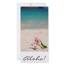 Aloha! Hawaii Picture Card