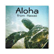 Aloha Hawaii Sea Turtle magnets
