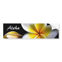 Aloha Hawaiian Frangipani Blossoms Plumerias Bumper Sticker