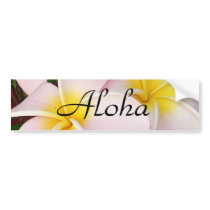 Aloha Hawaiian Frangipani Blossoms Plumerias Bumper Stickers