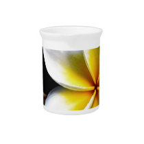 Aloha Hawaiian Frangipani Blossoms Plumerias Drink Pitcher
