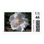 Aloha Hibiscus Postage Stamps