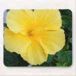 Aloha Mouse Mats