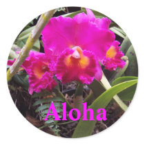 Aloha orchid sticker by Rebecca_Reeder Aloha orchid sticker