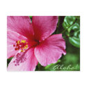 Aloha! Pink Hibiscus postcards by eunicorn Aloha! Pink Hibiscus postcards