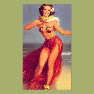 Aloha Pinup Two Business Cards Zazzle_profilecard Aloha Pinup Two Business Cards Zazzle_profilecard