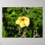 Alone and Beautiful Framed Photo Poster