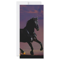 Alone and Free rack cards by laureenr Alone and Free rack cards