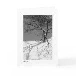 "Alone, and Standing Strong" Card