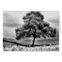 Alone Greeting Card