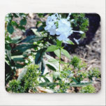 Alone in a Flower Patch mousepads
