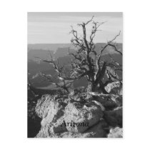 Alone in Arizona postcards by KROPWD Alone in Arizona postcards