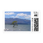 Alone in the Water postage
