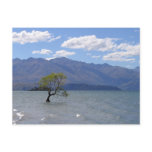 Alone in the Water postcards