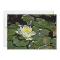 Alone Lily Invitation