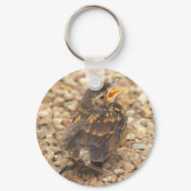 Alone lost hungary and vulnerable keychains by jdmphotography Alone lost hungary and vulnerable keychains