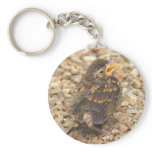 Alone lost hungary and vulnerable keychain