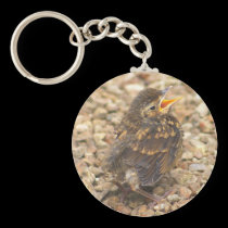 Alone lost hungary and vulnerable keychains