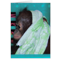 "Alone" Orangutan cards