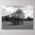 Alone posters