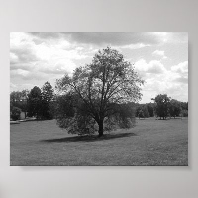 Alone Print by HLawver