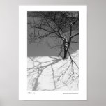 Alone posters