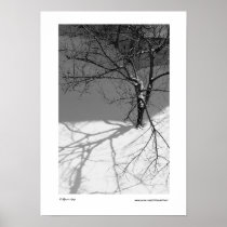 Alone Posters