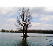 Alone Tree Before Storm photo sculptures by lifesphere Alone Tree Before Storm photo sculptures