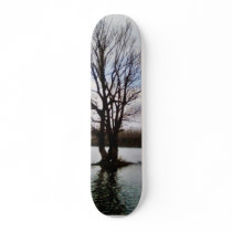 Alone Tree Before Storm Skate Boards