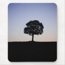 Alone tree mousepads