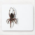 Along Came a Spider mousepads