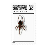 Along Came A Spider Postage Stamp