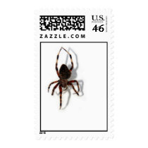 Along Came A Spider Postage Stamp