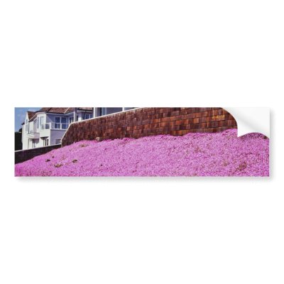 Along Cliff Road, Santa Cruz Bumper Sticker by blueyellowtube