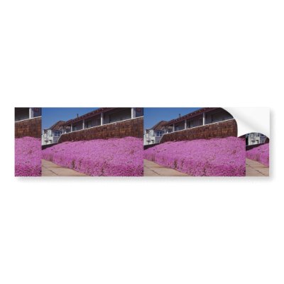 Along Cliff Road, Santa Cruz, California Bumper Stickers by inspirelove