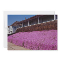 Along Cliff Road, Santa Cruz, California Personalized Invitations