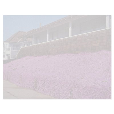 Along Cliff Road, Santa Cruz, California Letterhead by inspirelove